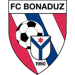 FC Bonaduz